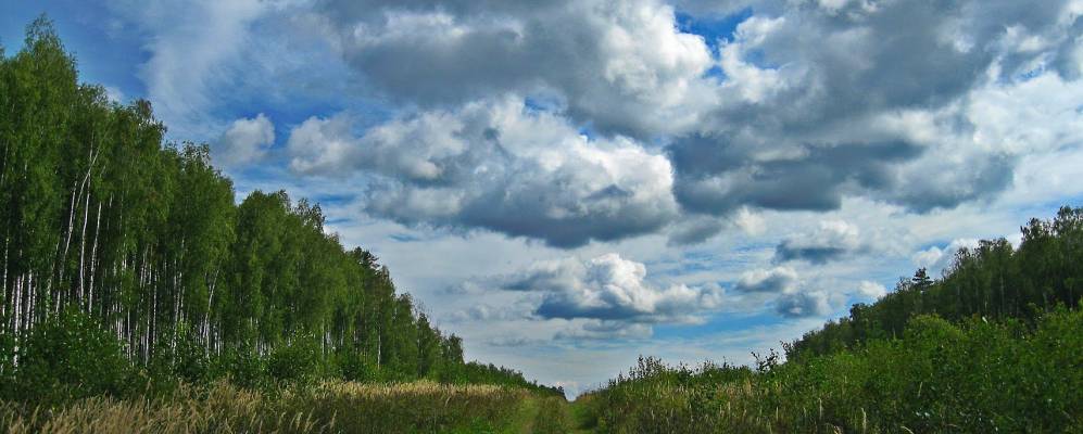 
            Фотография Ескино
