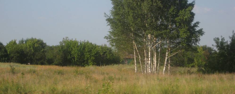 Фотография Сельца Гавриловского