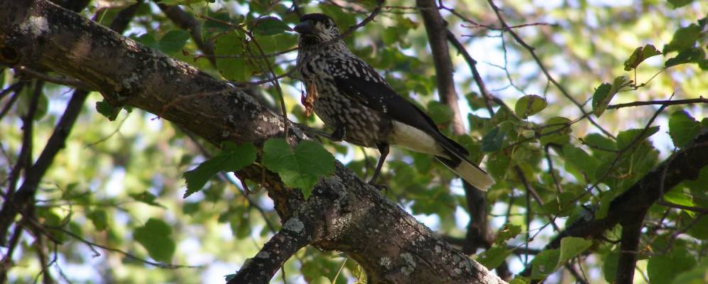 
            Фотография Гурьевки