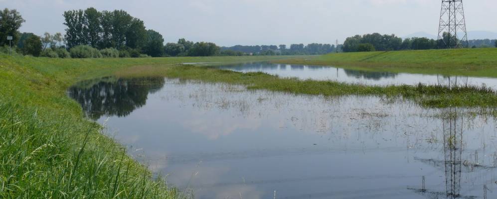 
            Фотография Штайнмауерна