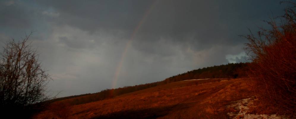 
            Фотография Чеху-Силванией