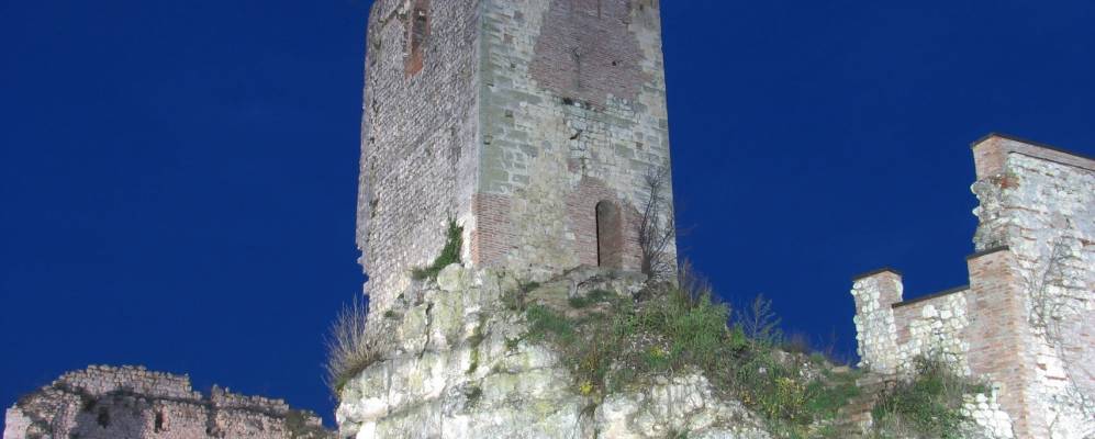 
            Фотография Брендолы