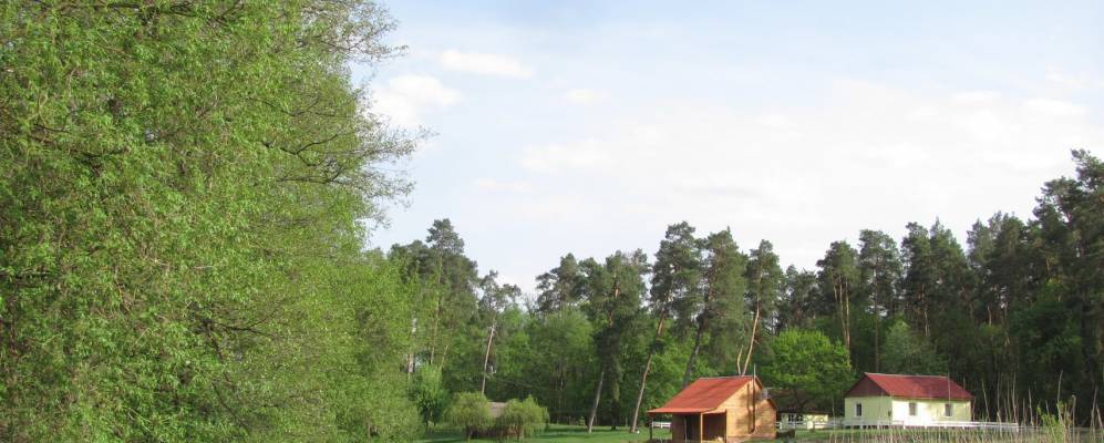 
            Фотография Биевцы