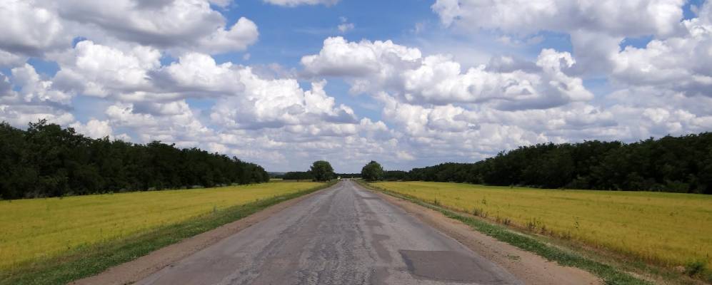 
            Фотография Дибрового