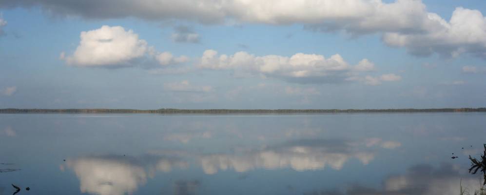 
            Фотография Котово