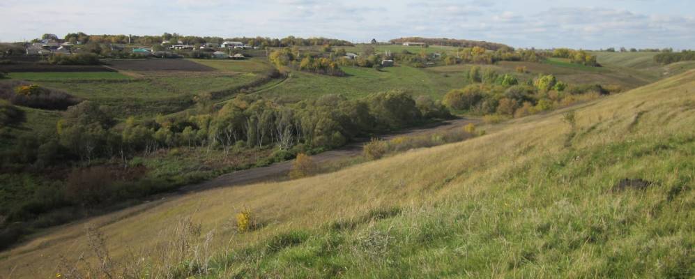 Фотография Рогового