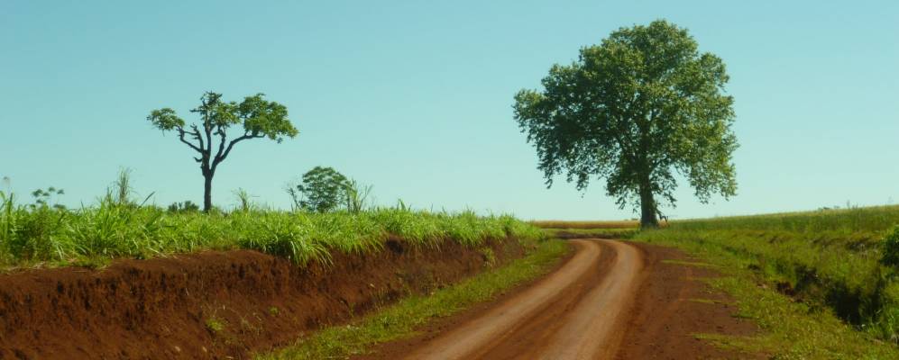 
            Фотография Облигадо