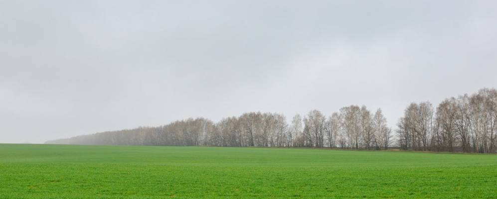 
            Фотография Бекетовки