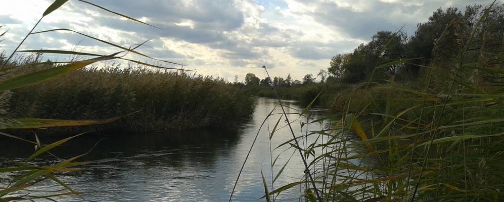 
            Фотография Кызылбулака