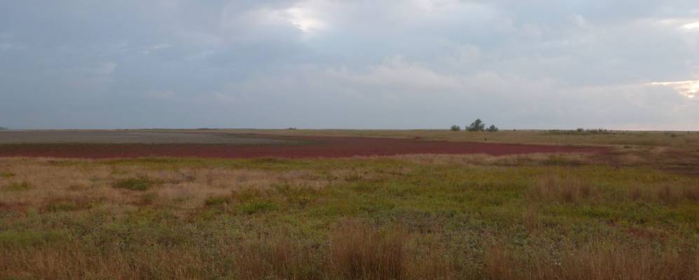 Фотография Ставок