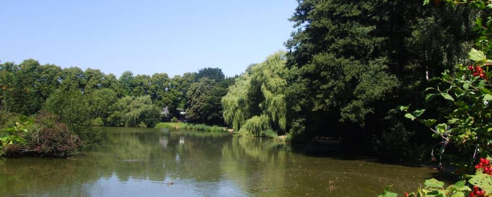 
            Фотография Гроссхансдорфа