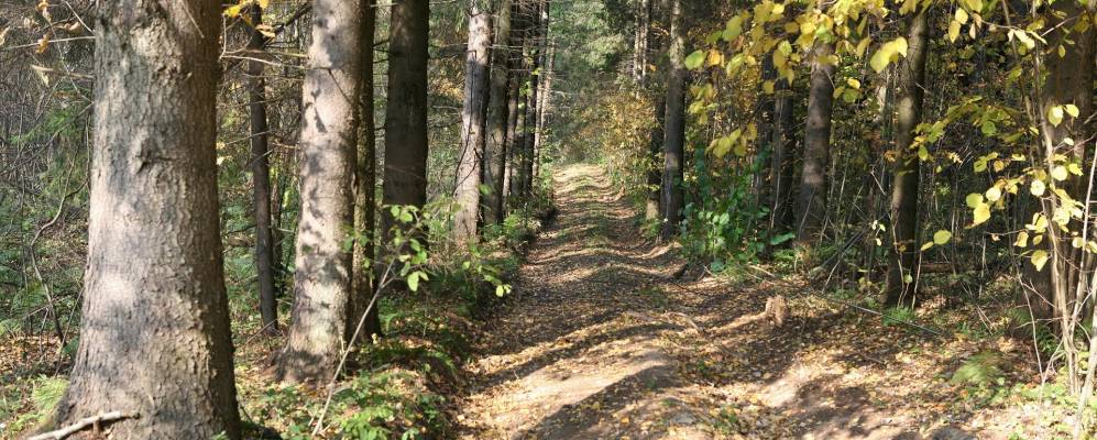 
            Фотография Астрецово