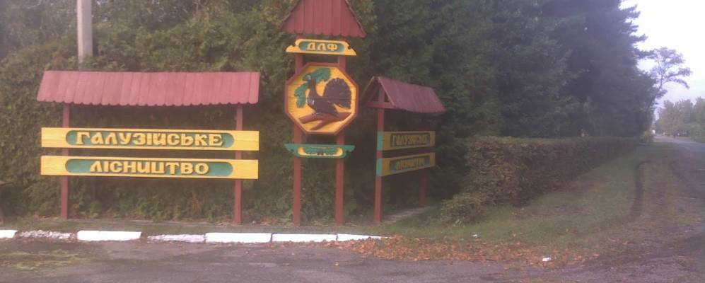 
            Фотография Галузии