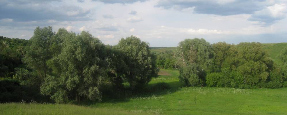 
            Фотография Чудновцы