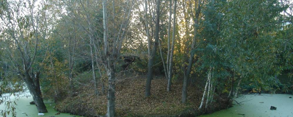 Фотография Нового Булдеево