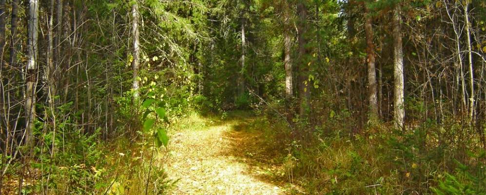 
            Фотография Семёновки