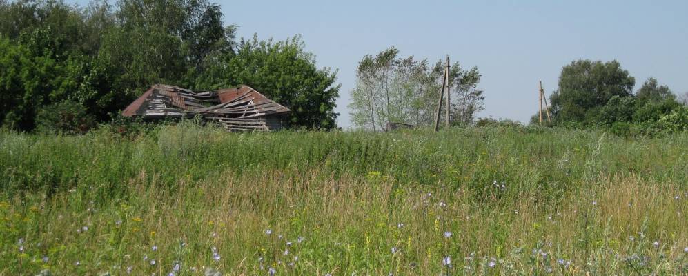
            Фотография Озерков