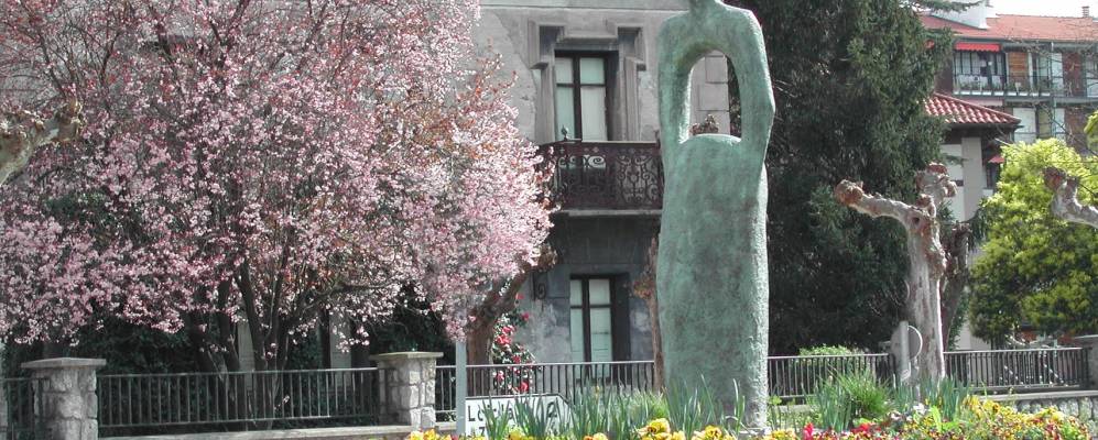 
            Фотография Аскоитиы