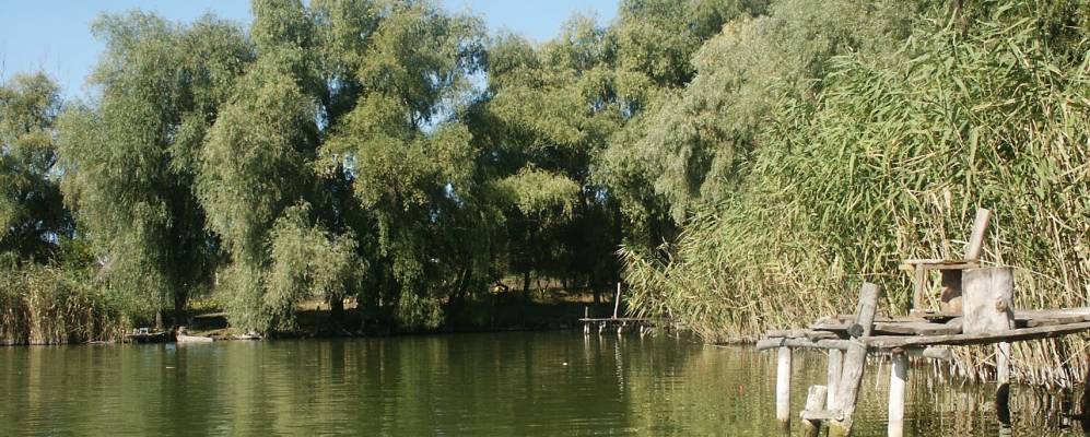 
            Фотография Андреевки