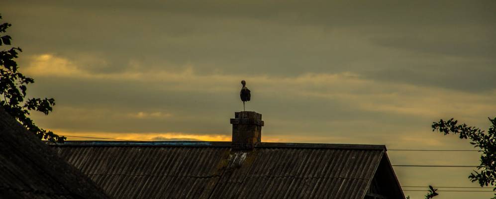 
            Фотография Вульки-Ореи