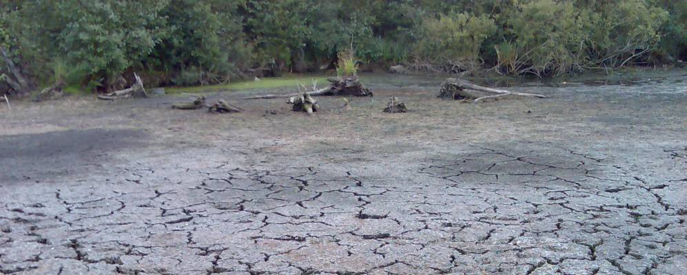 
            Фотография Свечковки