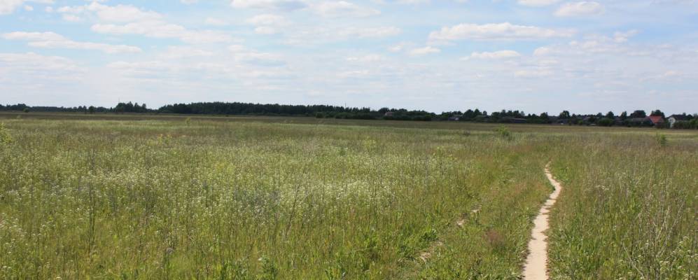 
            Фотография Бельково