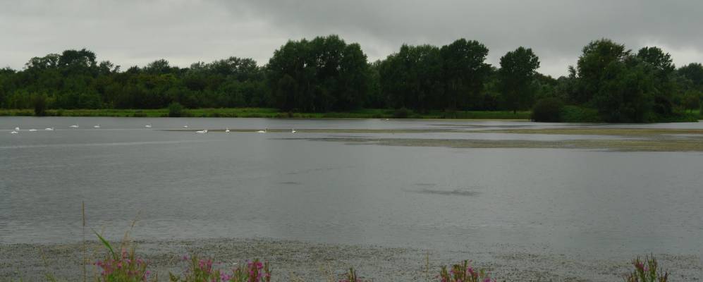 
            Фотография Крейгавона