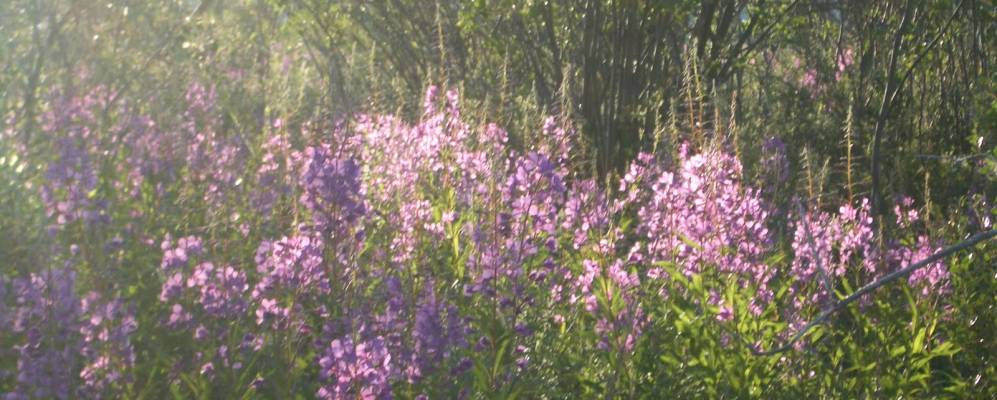 Фотография Нового