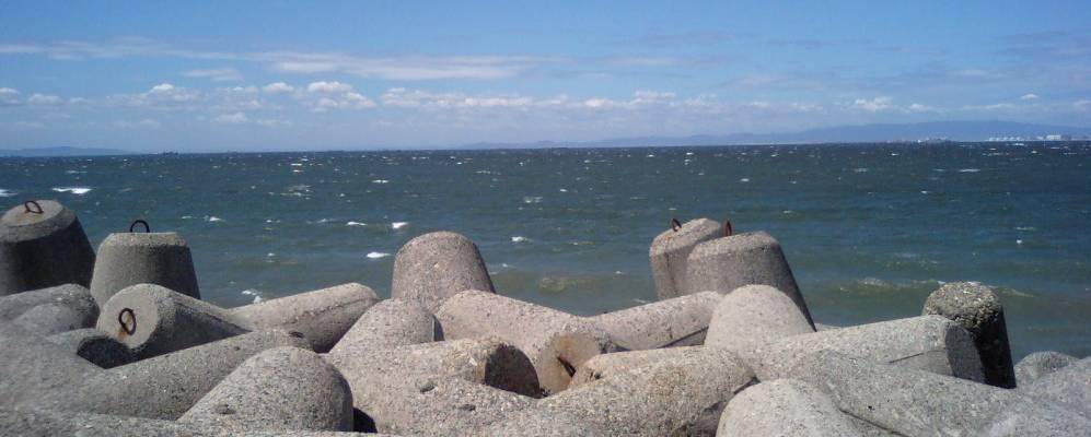 
            Фотография Танновы