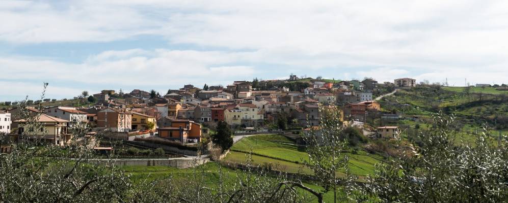 
            Фотография Джинестры