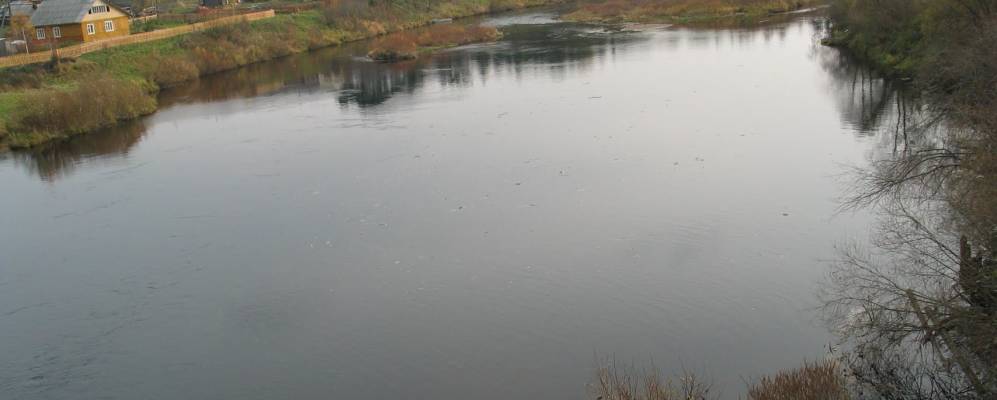 
            Фотография Замостовицы