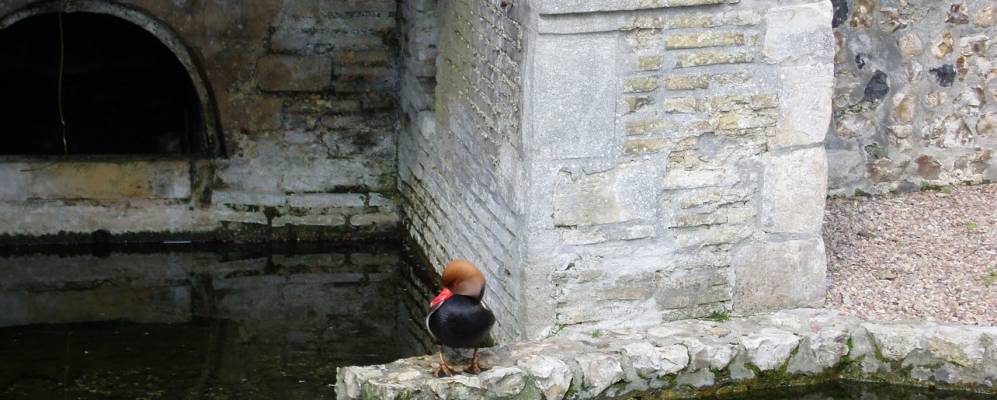 
            Фотография Монтивилье