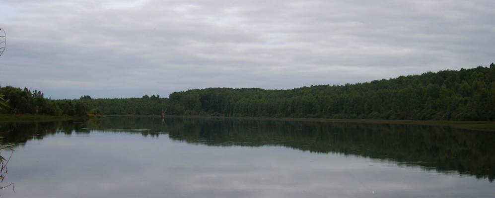 
            Фотография Кутьково