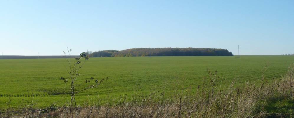 
            Фотография Муравлянки