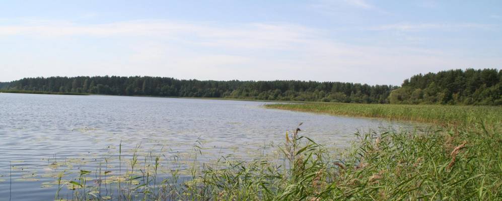 
            Фотография Ясной Поляны