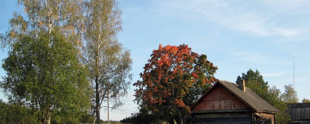 Фотография Боево