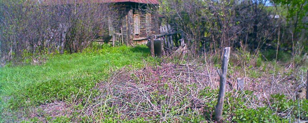 
            Фотография Богдановки