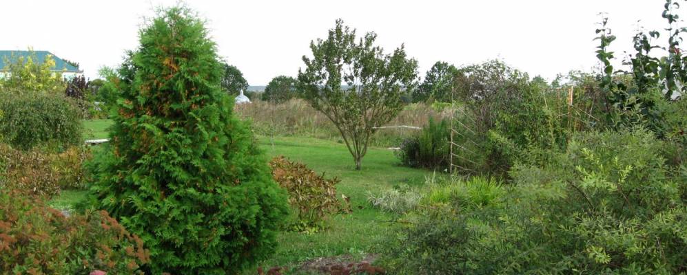 
            Фотография Соколовского