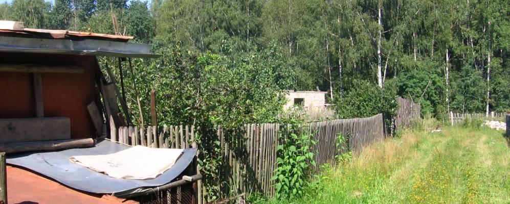 
            Фотография Ларинской