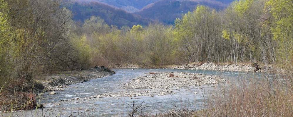 
            Фотография Пригоди