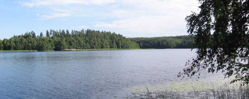 
            Фотография Германовщины