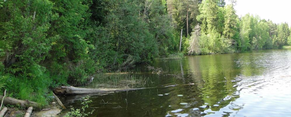 
            Фотография Ивакино