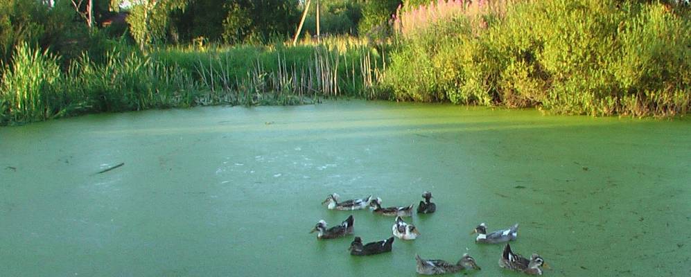 
            Фотография Пашково