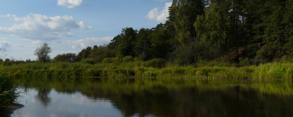 Фотография Конюково