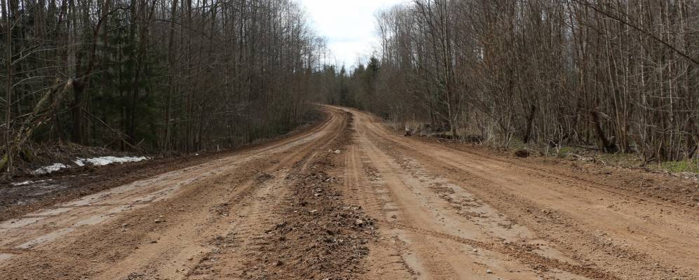 
            Фотография Яблоньки