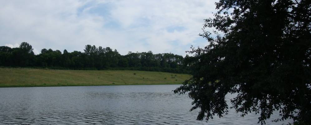 
            Фотография Квитневого