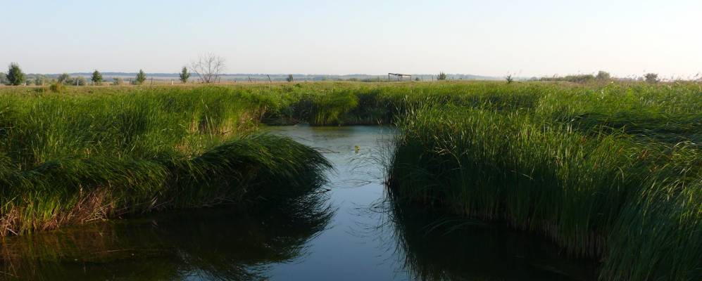 
            Фотография Анновки