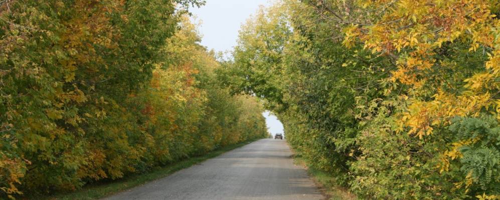 Фотография Офенталя