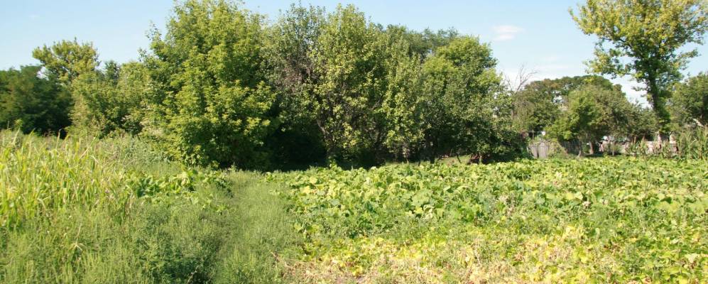 Фотография Крамарки