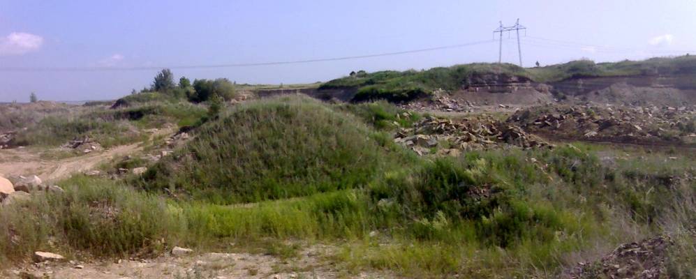 
            Фотография Княжи